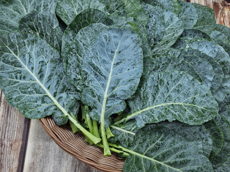 국내산 케일 1kg 신선 채소, 샐러드·스무디용 - 상세 이미지 3