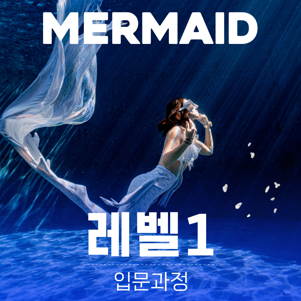 PADI 머메이드 다이빙 자격증 레벨1 강습 서울 경기 패디 베이직 머메이딩 입문 교육 - 상품 이미지