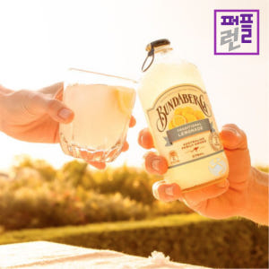 분다버그 진저비어 375ml x12병 맛있게 먹은 솔직 후기 - 상품 이미지 2