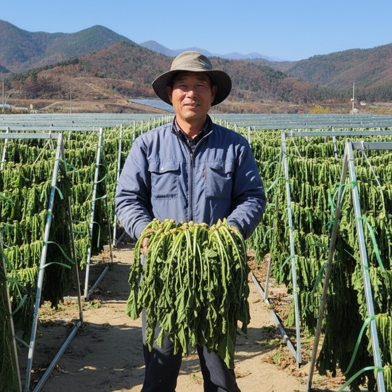산지직송 강원도 양구 펀치볼 삶은시래기 200g, 5개 - 상품 이미지