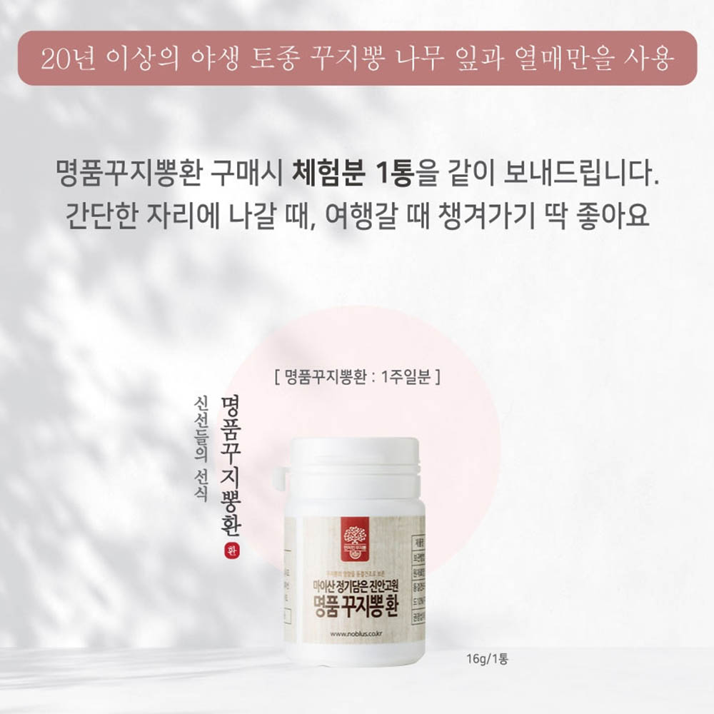 야생 꾸지뽕 구찌뽕 구찌봉 꾸지뽕 열매 나무 잎 환 먹는방법 국산 - 상세 이미지 2