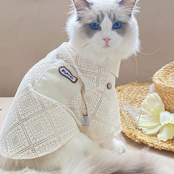 고양이 강아지 레이스 셔츠 통기성 강아지 여름 셔츠 반팔 단추 - 상품 이미지