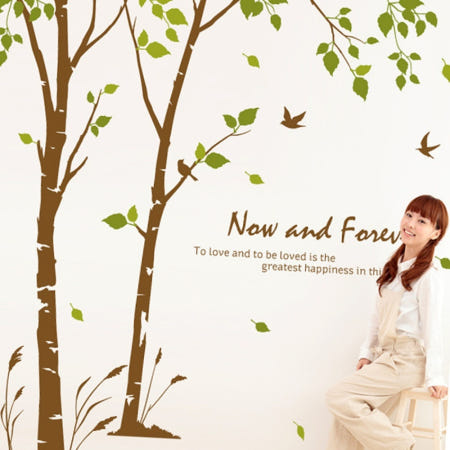 디버스조이협력사 자작나무 숲의 이야기 월데코스티커 샌디브라운 데칼스티커