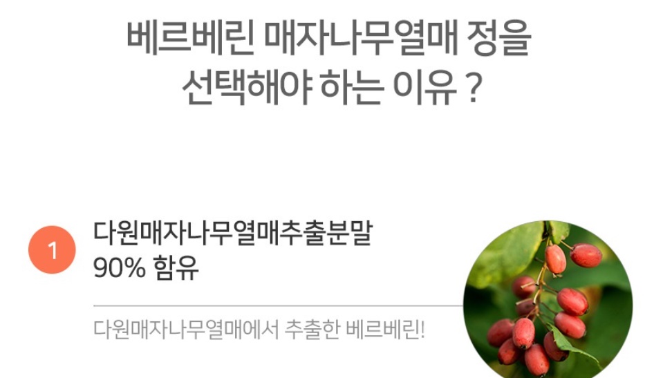 고농축 베르베린 매자나무열매 60정 - 상세 이미지 4