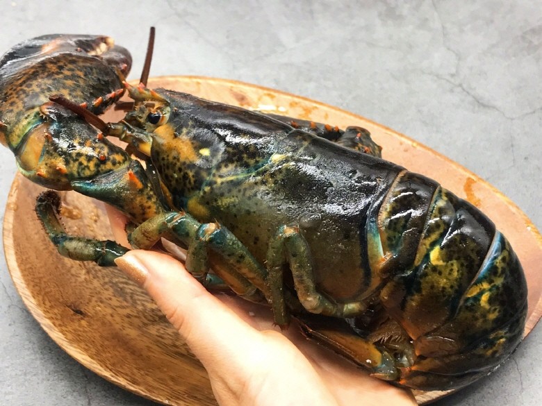 캐나다 항공직송 활 랍스타 바닷가재 1kg 2미 - 상세 이미지 4