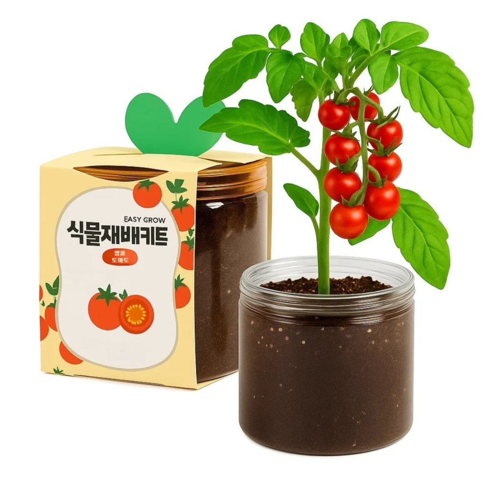 허브 재배키트 방울토마토 식물 루꼴라 바질 딸기 고수 강낭콩 해바라기 봉선화 당근 키우기