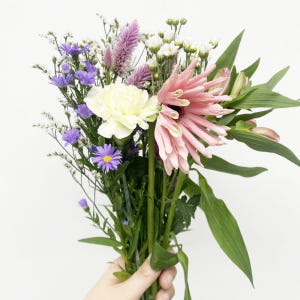 생화 꽃정기구독 정기배송 제철꽃 농장직송 꽃배달 싼곳 솔직 후기 | 실사용자 리뷰 분석 - 상품 이미지 3