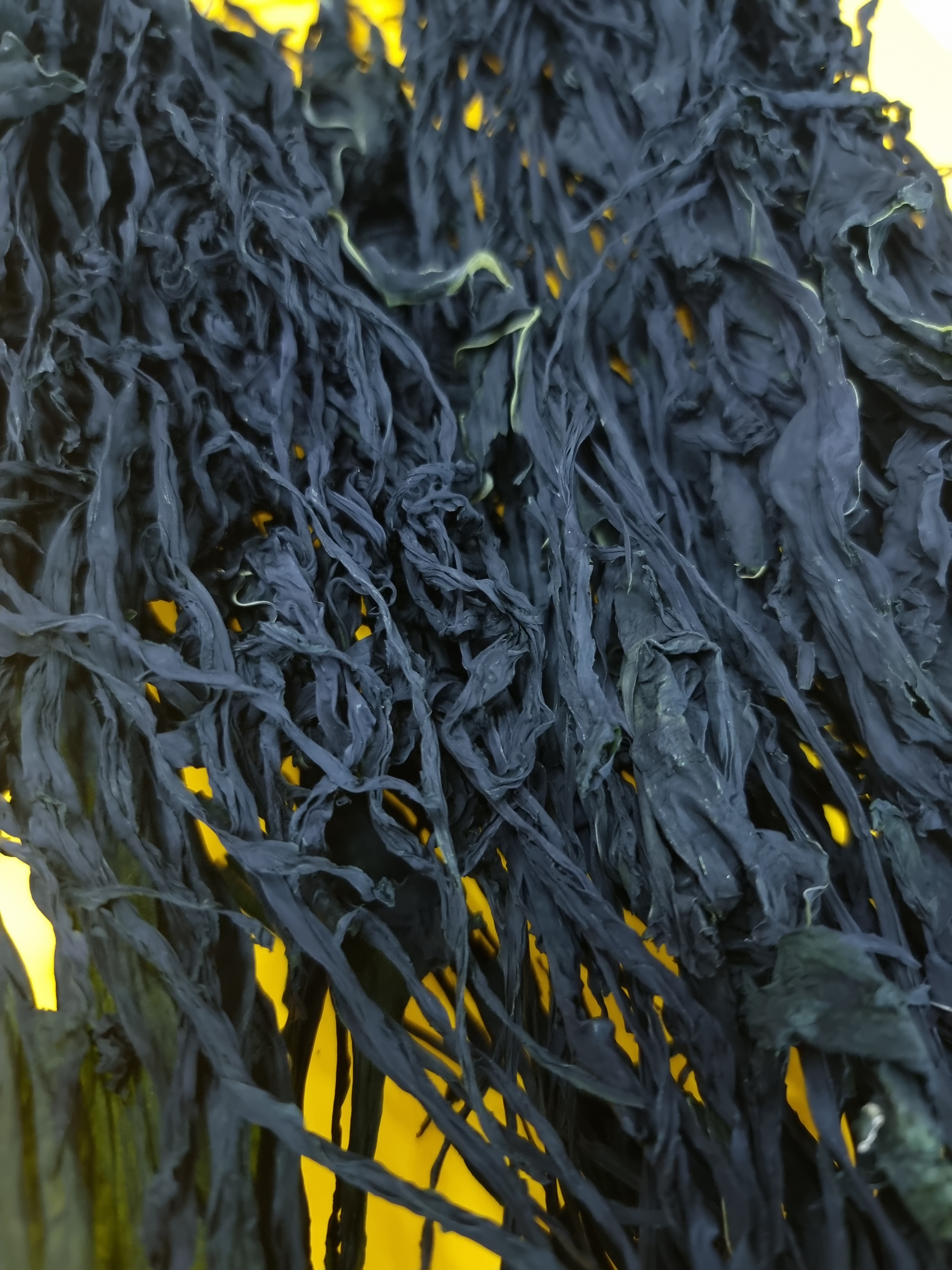 국내산 완도 돌각 자연산 산모용 마른미역 500g, 1개 - 상세 이미지 4