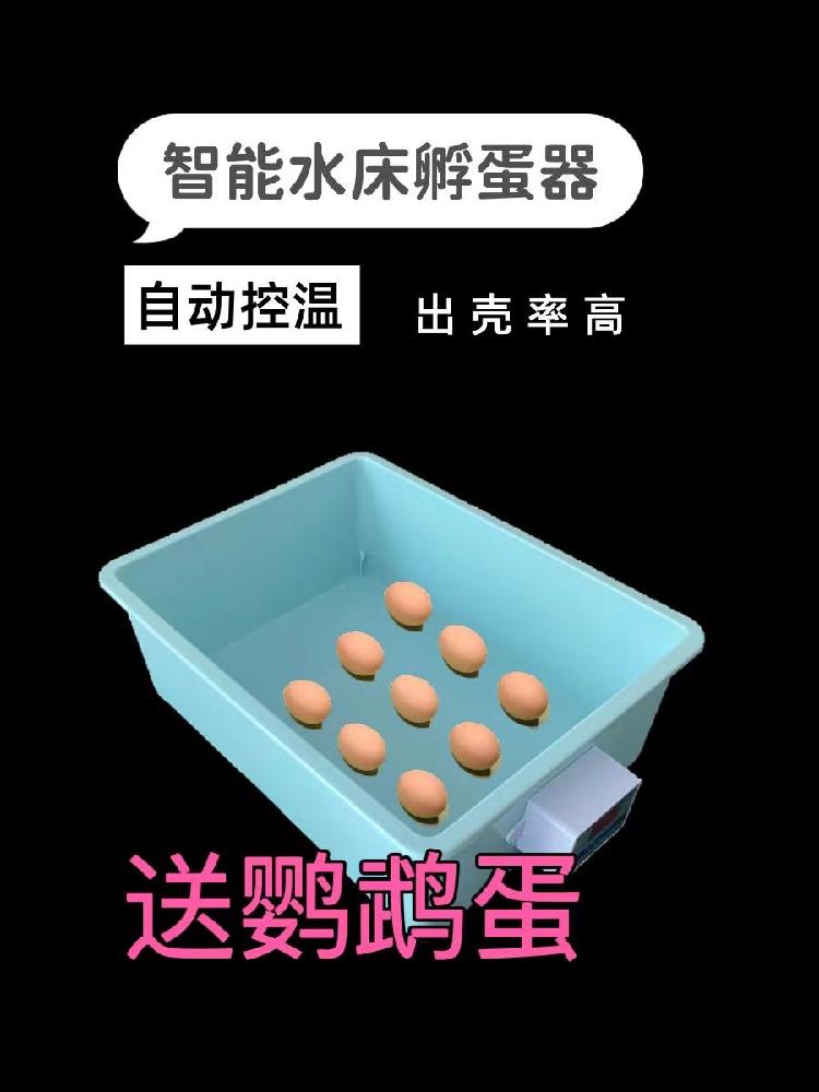 병아리 부화기 자동 조류 병아리부화기 계란부화기 4구 자동 6구 인큐베이터 - 상세 이미지 2