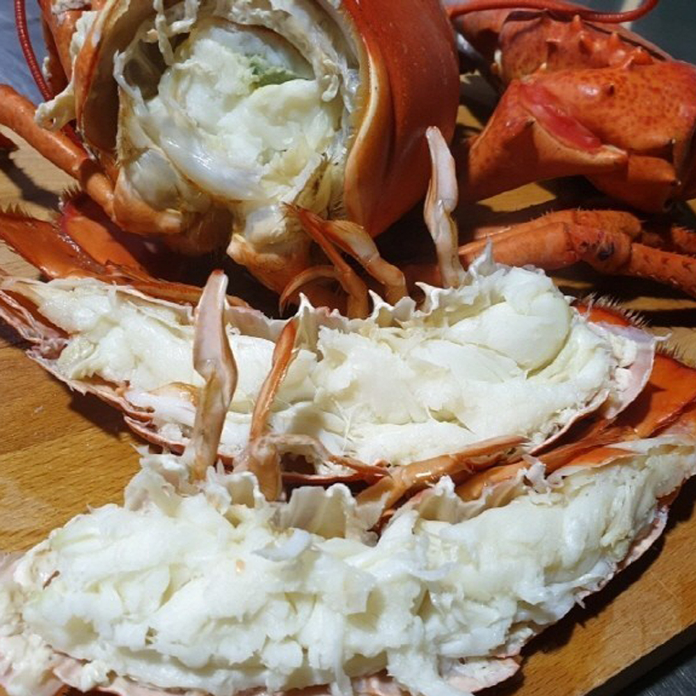 캐나다 항공직송 활 랍스타 바닷가재 1kg 2미 이미지 6