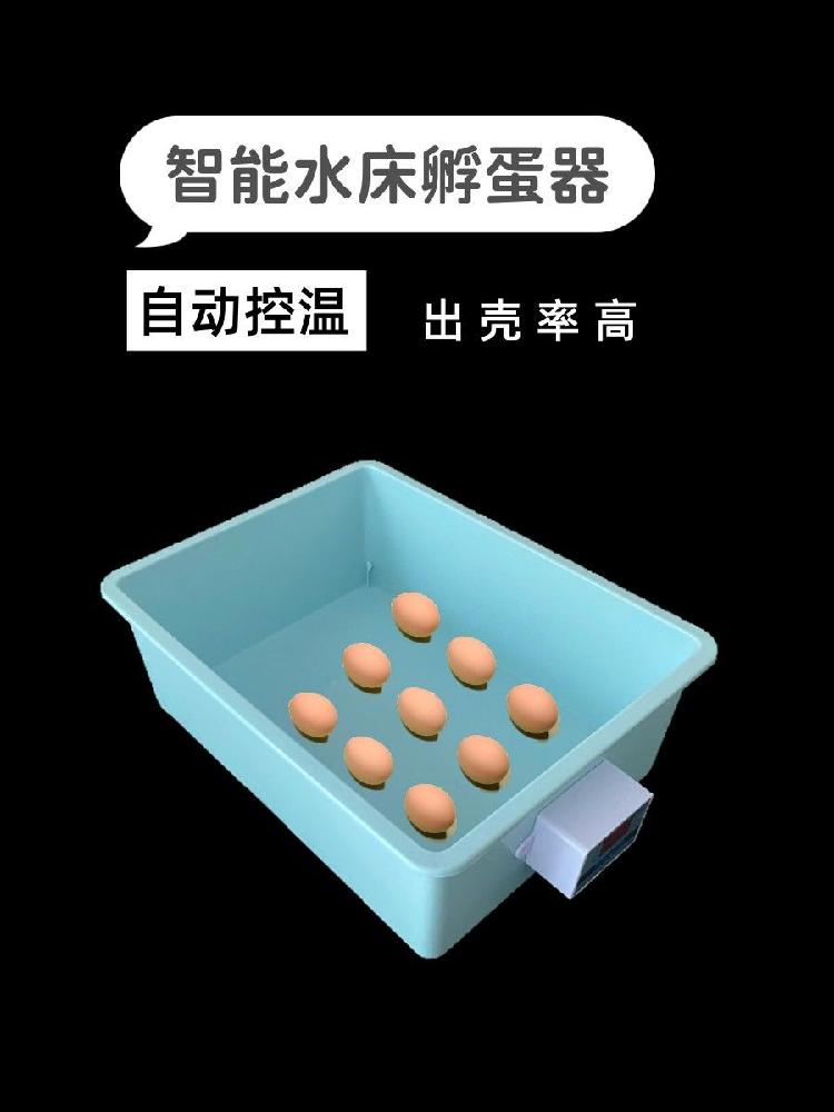 병아리 부화기 자동 조류 병아리부화기 계란부화기 4구 자동 6구 인큐베이터 - 상세 이미지 5