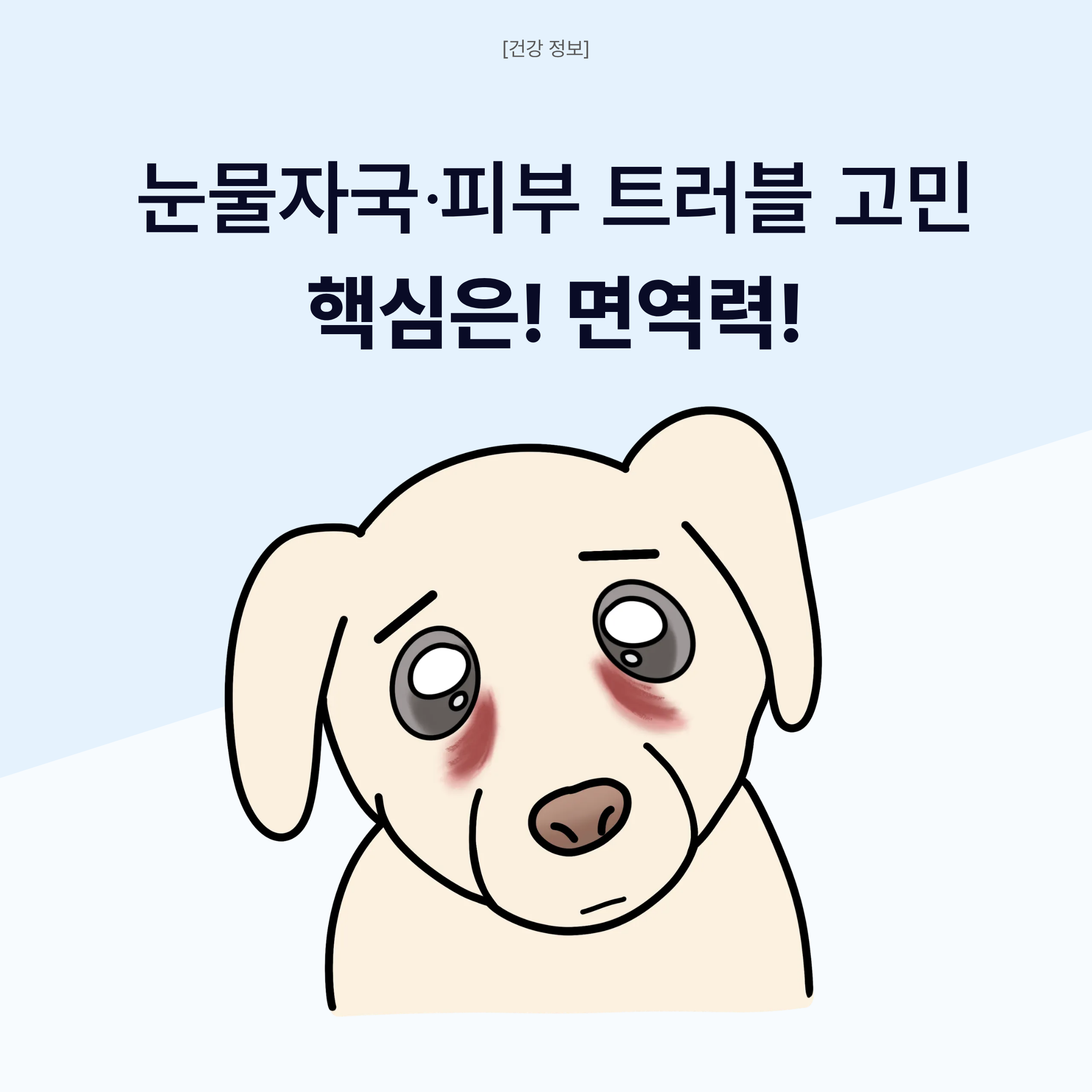 프리미엄 강아지 고양이 눈물자국 눈 피부 영양제 레티 30포, 3개 - 상세 이미지 4