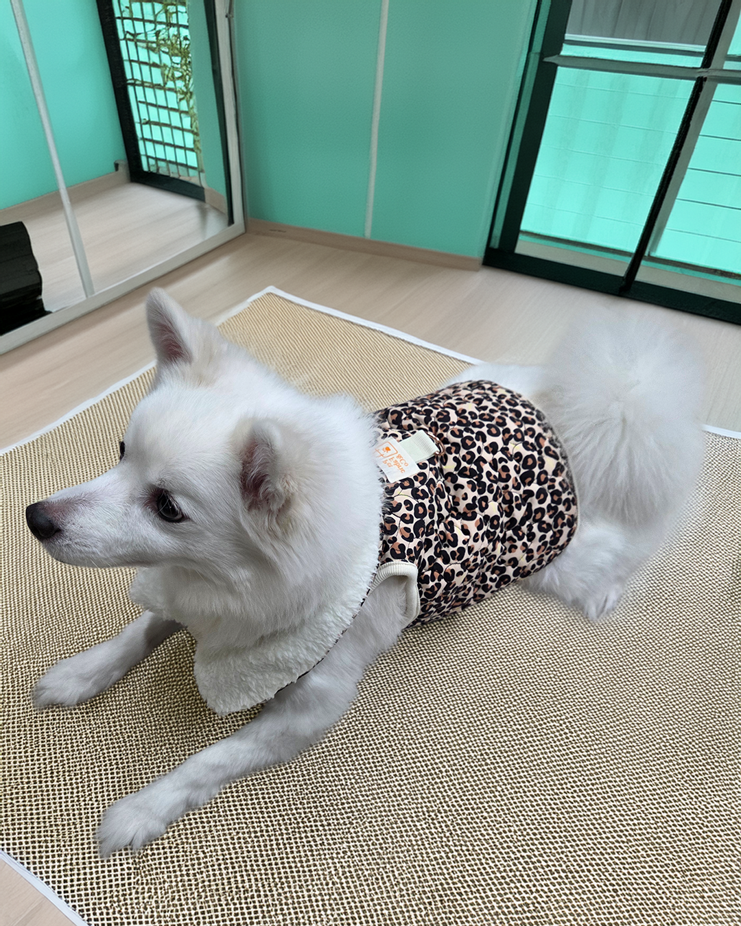 (펫 파브릭 앤코) 따뜻한 겨울 호피 퍼 조끼 강아지 패딩 애견 방한 외출복 하네스겸용 이미지 6