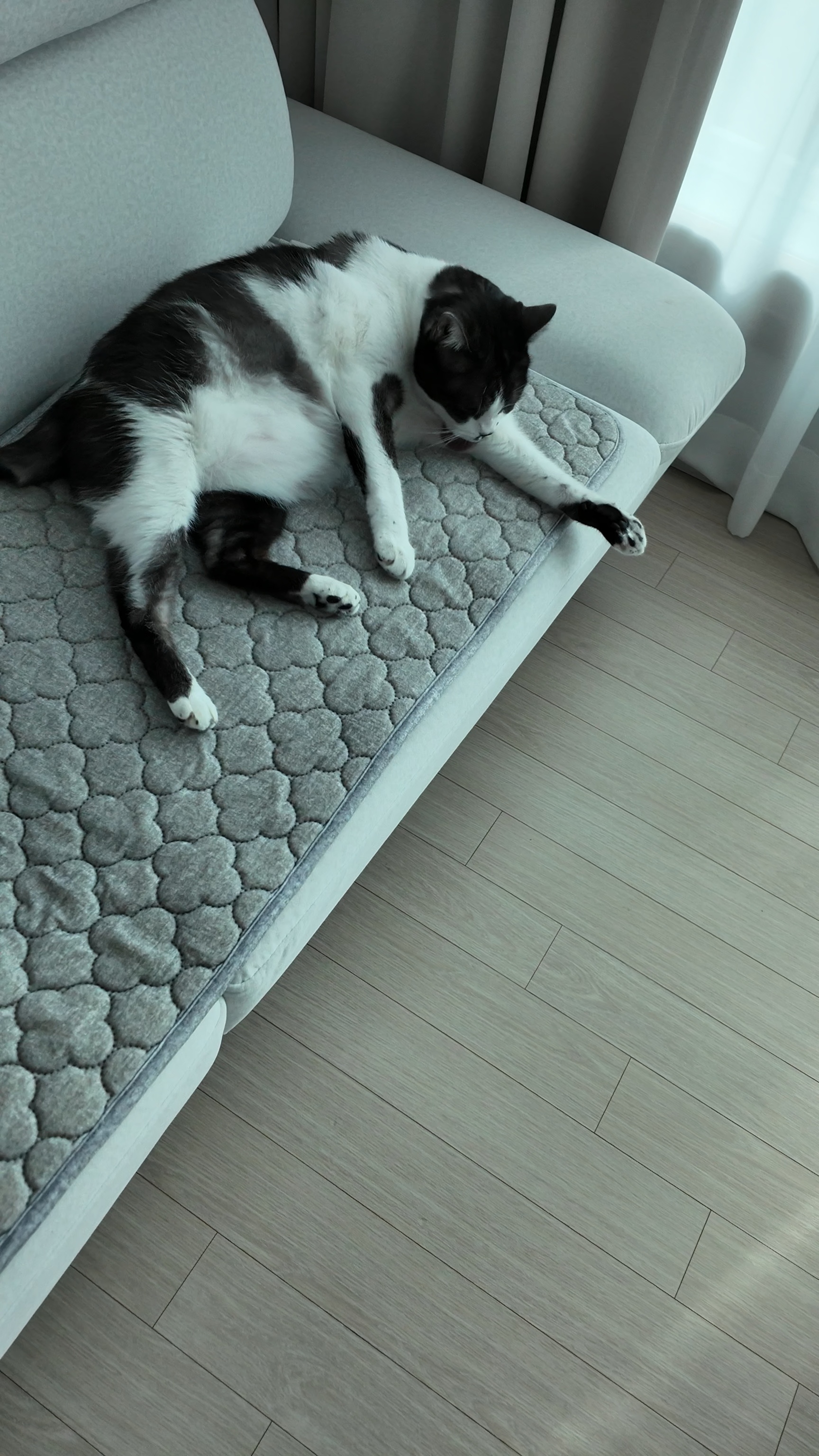 EMF 전자파안심 카본탄소전기요 쇼파용 여행용 쓰리템 미니싱글, 50x180cm, 황토