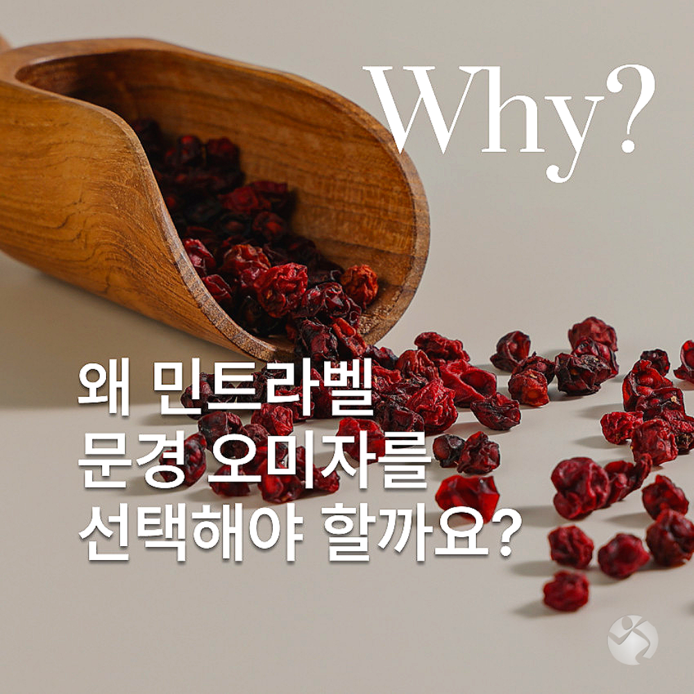민트라벨 문경 오미자 파우더 800g x 2ea - 상세 이미지 3