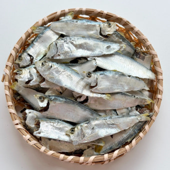 명식품본사 디포리 밴댕이 국물멸치1.5kg 사이즈 7-9cm 식당식자재 도매가 - 상세 이미지 4