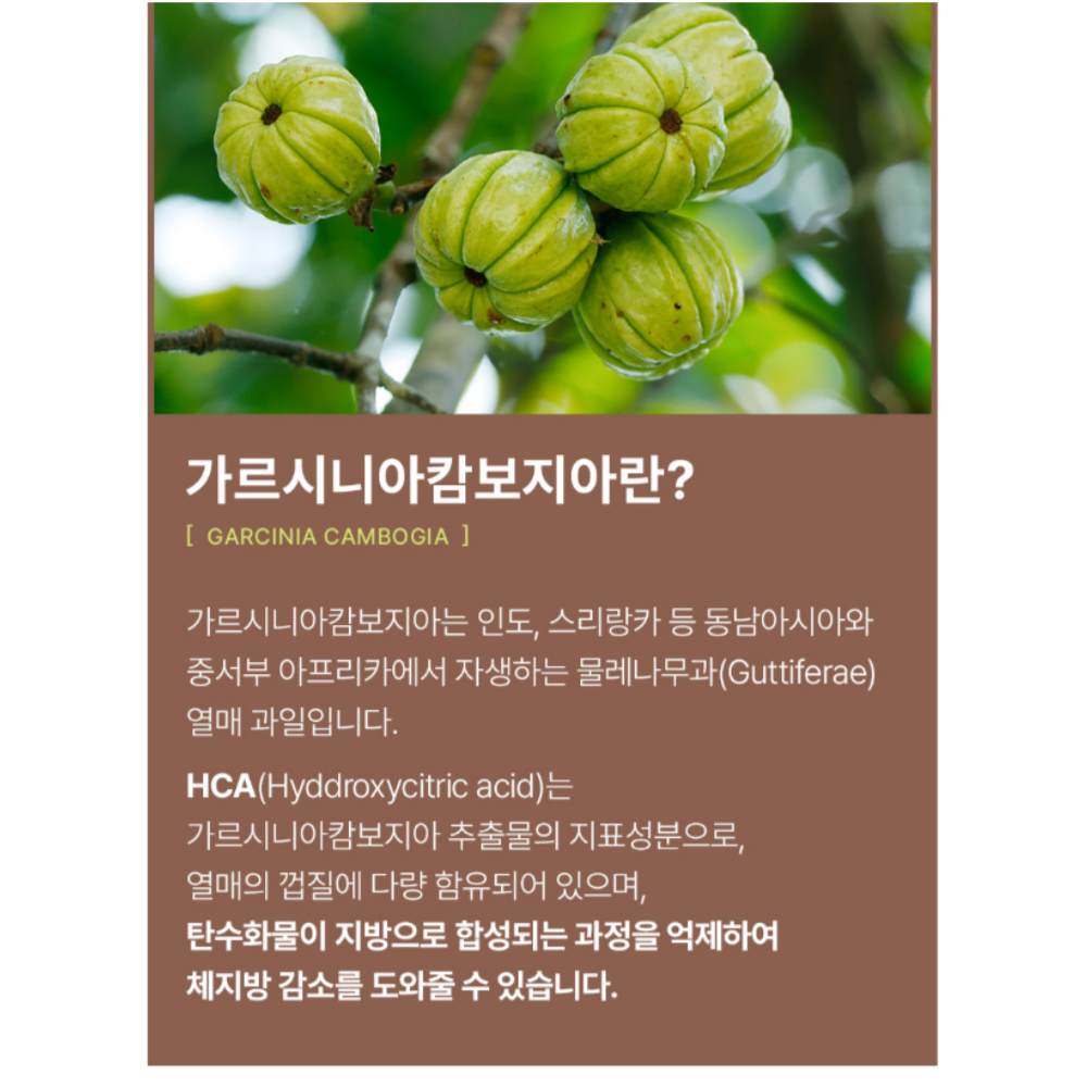 스키니랩 물에타먹는다이어트 살빠지는커피 가르시니아커피 카페 가르시니아캄보지아추출물 - 상세 이미지 5