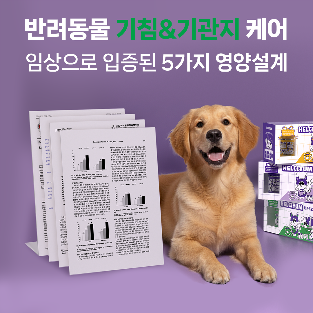 헬시얌 강아지 간식 영양제 기침 켁켁거림 협착증개선 노령견도움 거위소리 기관지, 120정, 1개 이미지 8
