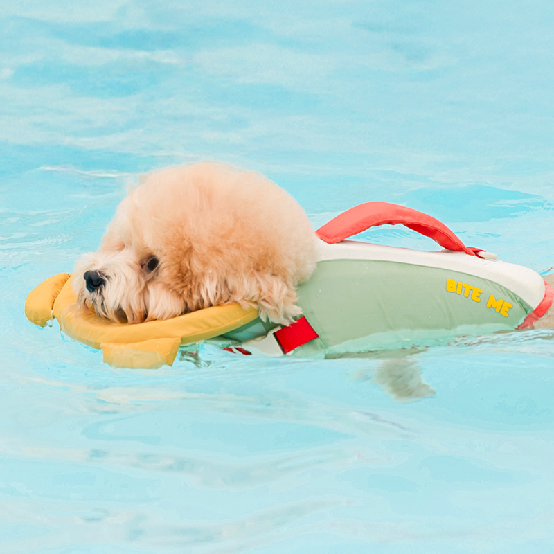 강아지구명조끼 애견 수영 강아지수영복 물놀이 래쉬가드 소형견 이미지 4