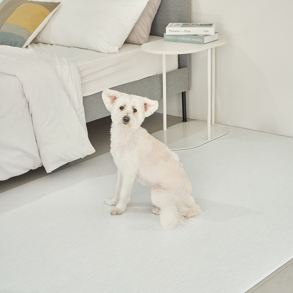 [러그140x180cm] 디팡 4mm 펫 미끄럼방지 강아지 고양이 애견매트 슬개골 반려견