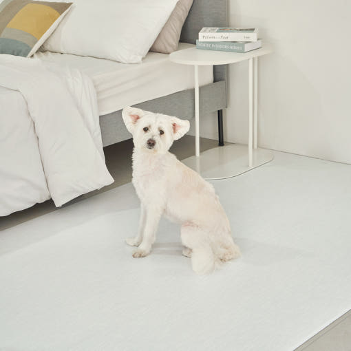 [러그140x180cm] 디팡 4mm 펫 미끄럼방지 강아지 고양이 애견매트 슬개골 반려견 : 디팡