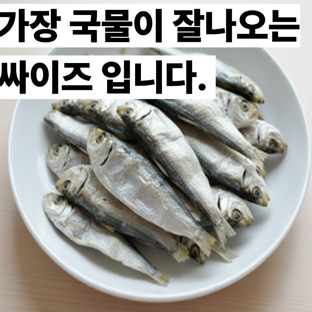 명식품본사 디포리 밴댕이 국물멸치1.5kg 사이즈 7-9cm 식당식자재 도매가 - 상세 이미지 3