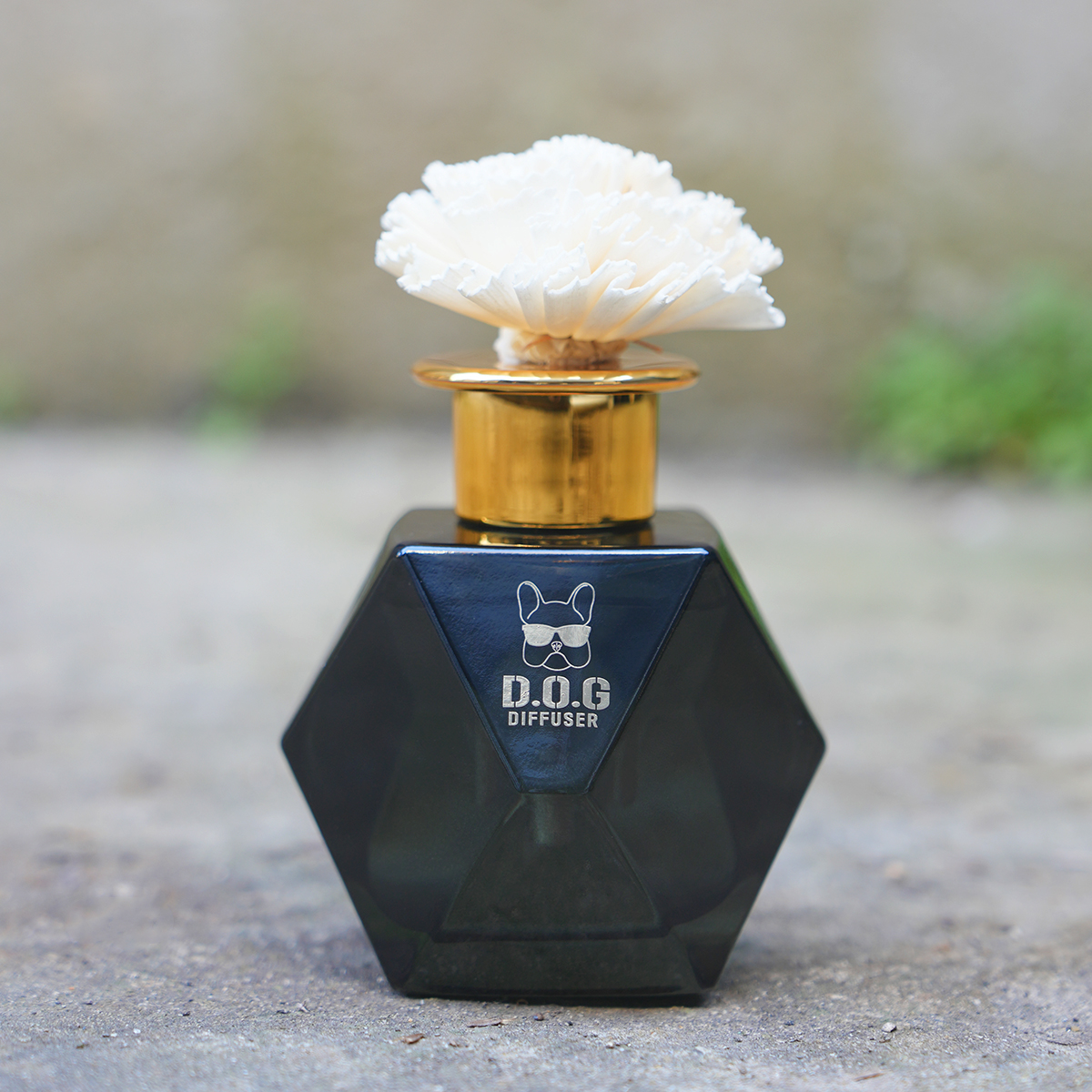 도그독 200ml 차량용 디퓨저 자동차 대쉬보드 방향제 블랙체리