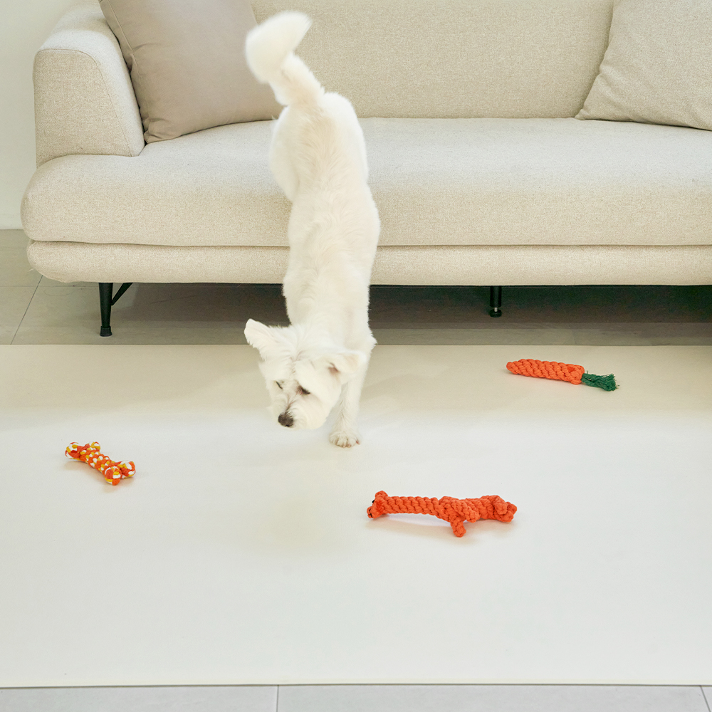 [러그140x180cm] 디팡 4mm 펫 미끄럼방지 강아지 고양이 애견매트 슬개골 반려견