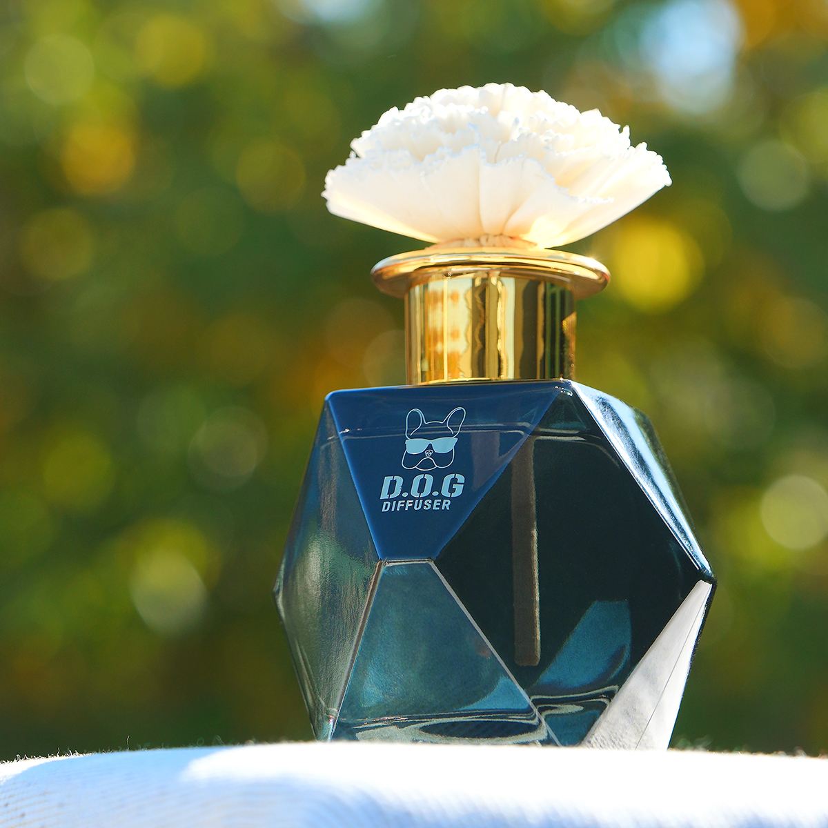 도그독 200ml 차량용 디퓨저 자동차 대쉬보드 방향제 블랙체리