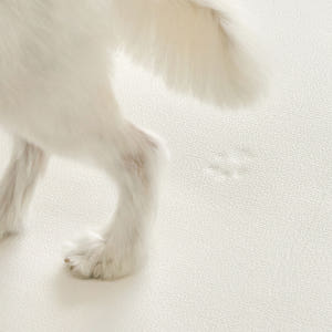 [러그140x180cm] 디팡 4mm 펫 미끄럼방지 강아지 고양이 애견매... 솔직 후기 | 실제 사용자 리뷰 총정리 - 상품 이미지 3