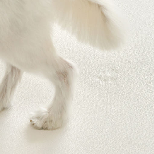 [러그140x180cm] 디팡 4mm 펫 미끄럼방지 강아지 고양이 애견매트 슬개골 반려견 : 디팡