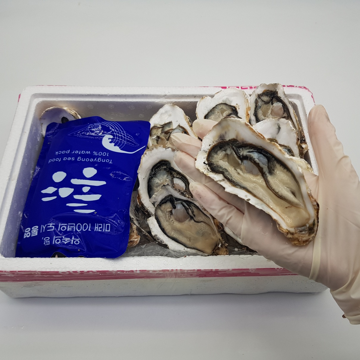 석화 각굴 통영굴 하프쉘굴 삼배체 1kg 바위굴 벚굴 캠핑용 이미지 6