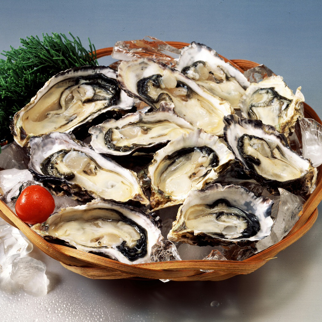 석화 각굴 통영굴 하프쉘굴 삼배체 1kg 바위굴 벚굴 캠핑용 이미지 7