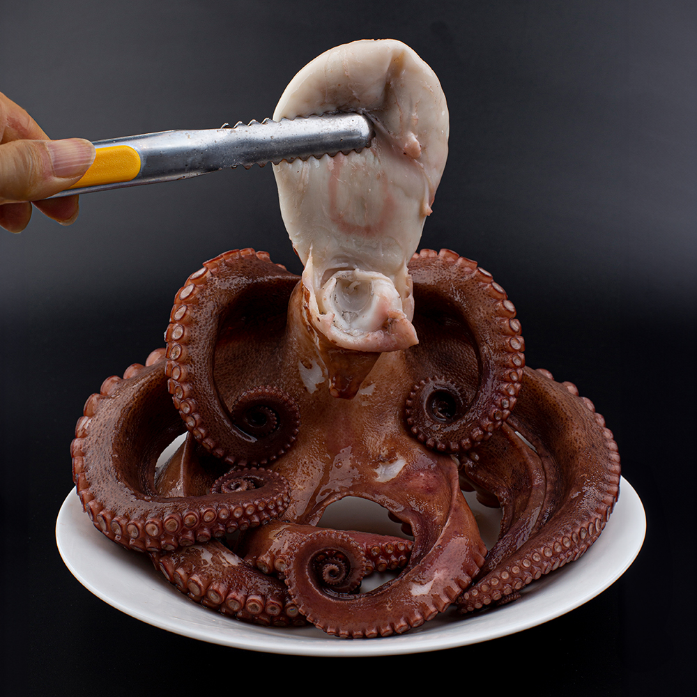 국내산 통영 활 자연산 돌문어 1kg 당일조업 제수용 해수 포장 이미지 8