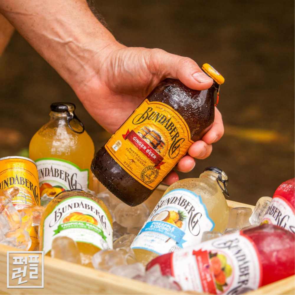 분다버그 진저비어 375ml x12병 이미지 4