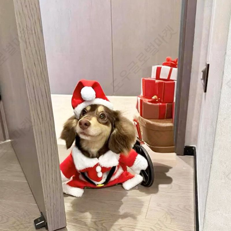 강아지 크리스마스옷 산타옷 고양이 반려견 루돌프 중형견 - 상세 이미지 2