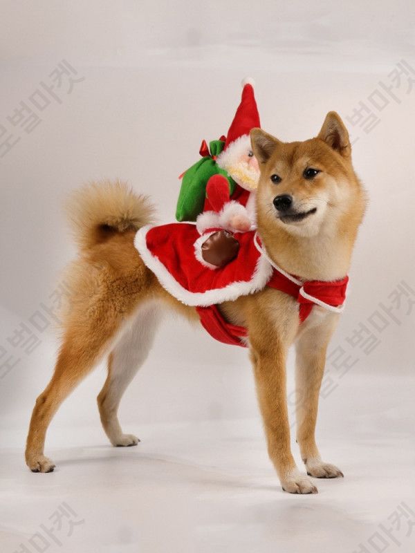 강아지 크리스마스옷 산타옷 고양이 반려견 루돌프 중형견 - 상세 이미지 3