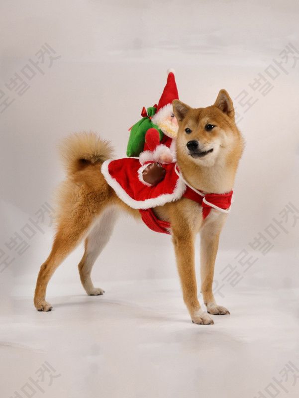 강아지 크리스마스옷 산타옷 고양이 반려견 루돌프 중형견 - 상세 이미지 4