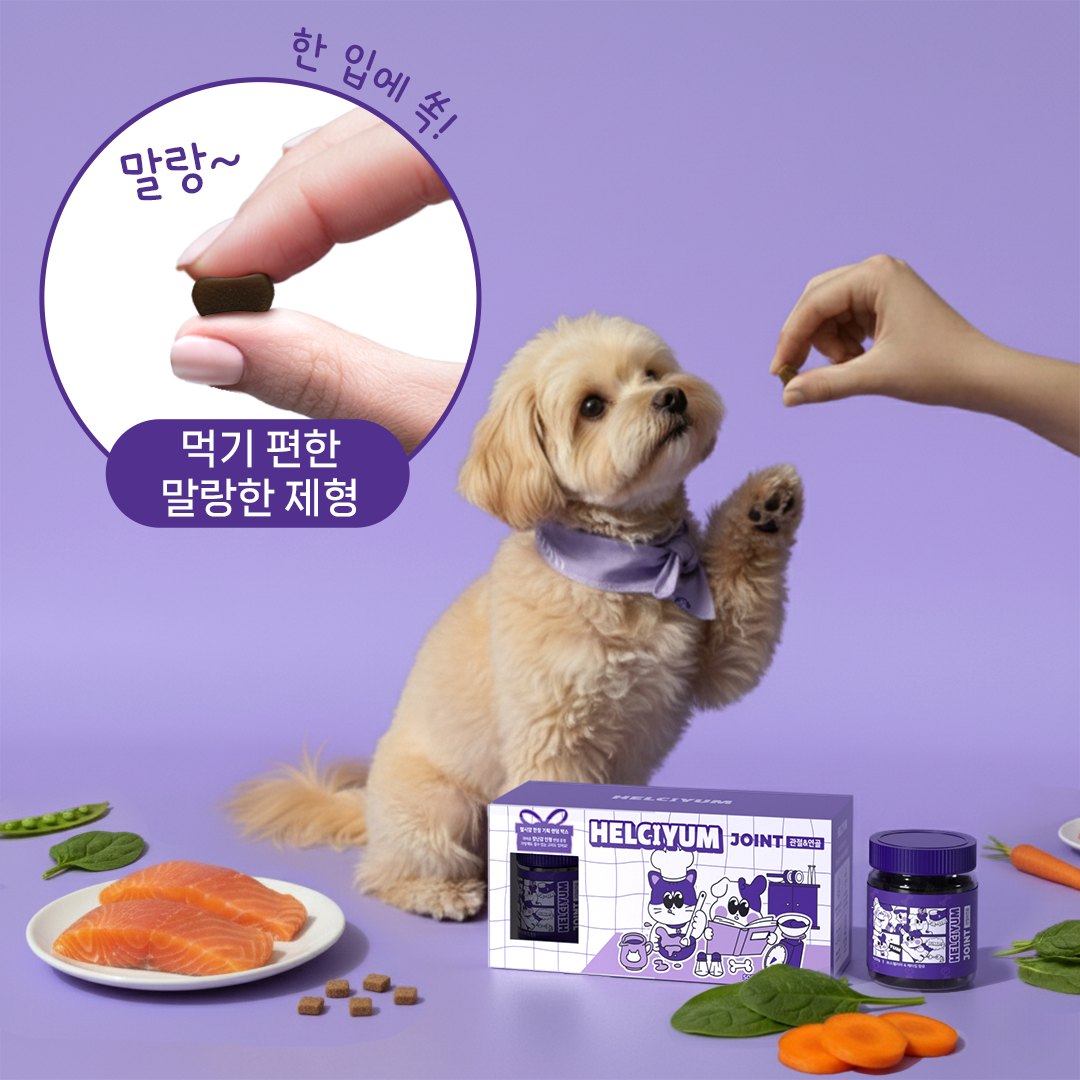 헬시얌 강아지 관절 간식 영양제 슬개골 탈구예방 뼈,관절강화 노령견도움 관절건강, 120정, 1개 - 상세 이미지 4