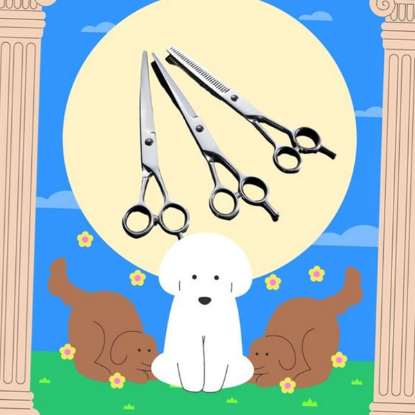 반려동물 강아지 미용 가위 세트 애견 미용 가위 커팅