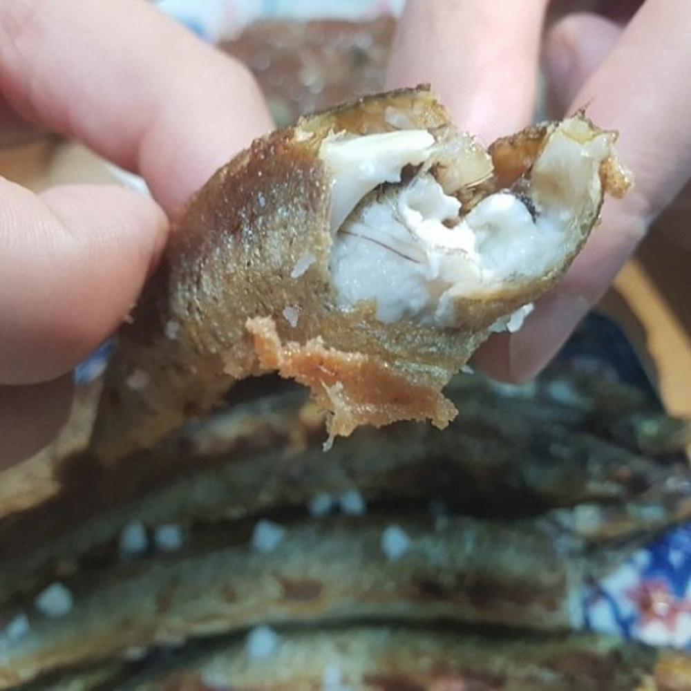 묵호항 산지직송 당일조업 제철 햇양미리 생물 양미리1Kg 30미내외 트레이포장/곰치/임연수 이미지 8