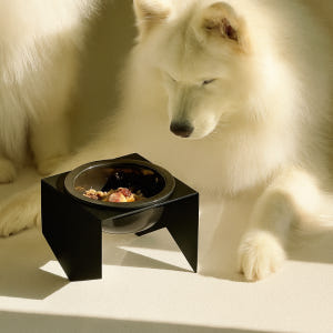 강아지 밥그릇 강철 스탠드 국산 식기 받침대 반려동물 고양이 물그릇 거치... 솔직 후기 | 실제 사용자 리뷰 총정리 - 상품 이미지 3