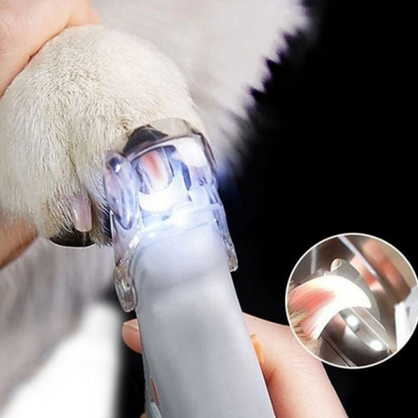 고양이 반려동물 발톱 깎기 애견 강아지 발톱 깎기 다듬기