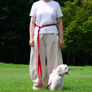 아띠지기 강아지 핸즈프리 리드줄 멀티 솔직 후기 | 실제 사용자 리뷰 총정리 - 상품 이미지 3