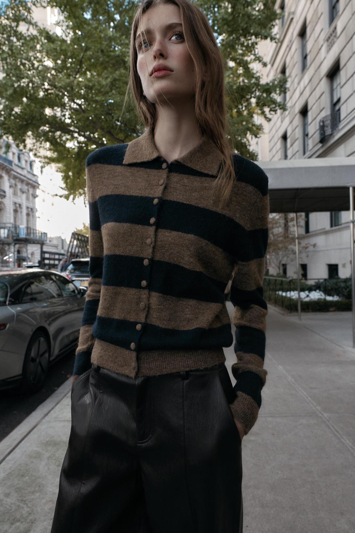 자라 스트라이프 클래식 가디건 3653/113 BROWN-BLUE - 상세 이미지 3