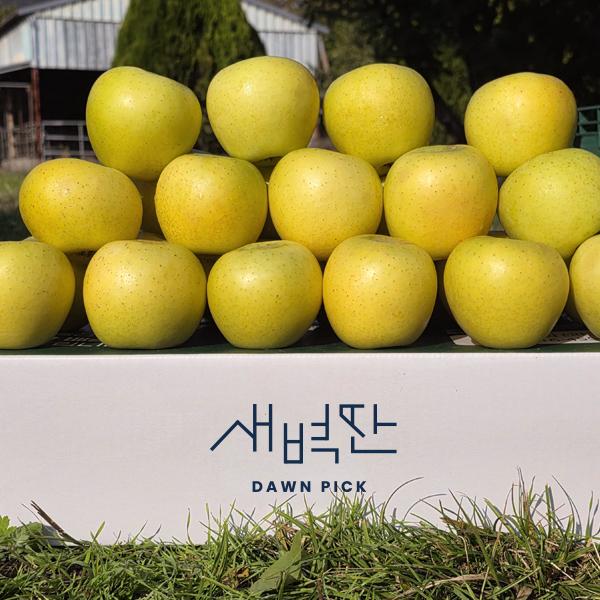 청송 시나노골드 황금사과 스위트 노란사과 - 상품 이미지