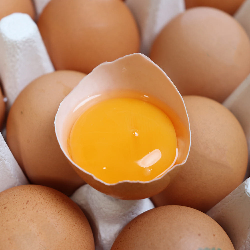 무항생제 난각번호 1번 유정란 20구