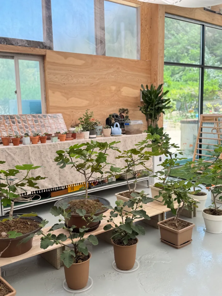 [보호자 무료] 자연과 예술로 치유되는 텃밭 체험 + 자연물 놀이 + 타악&신체 예술 수업 by 솔솔자연농원 - 상세 이미지 2