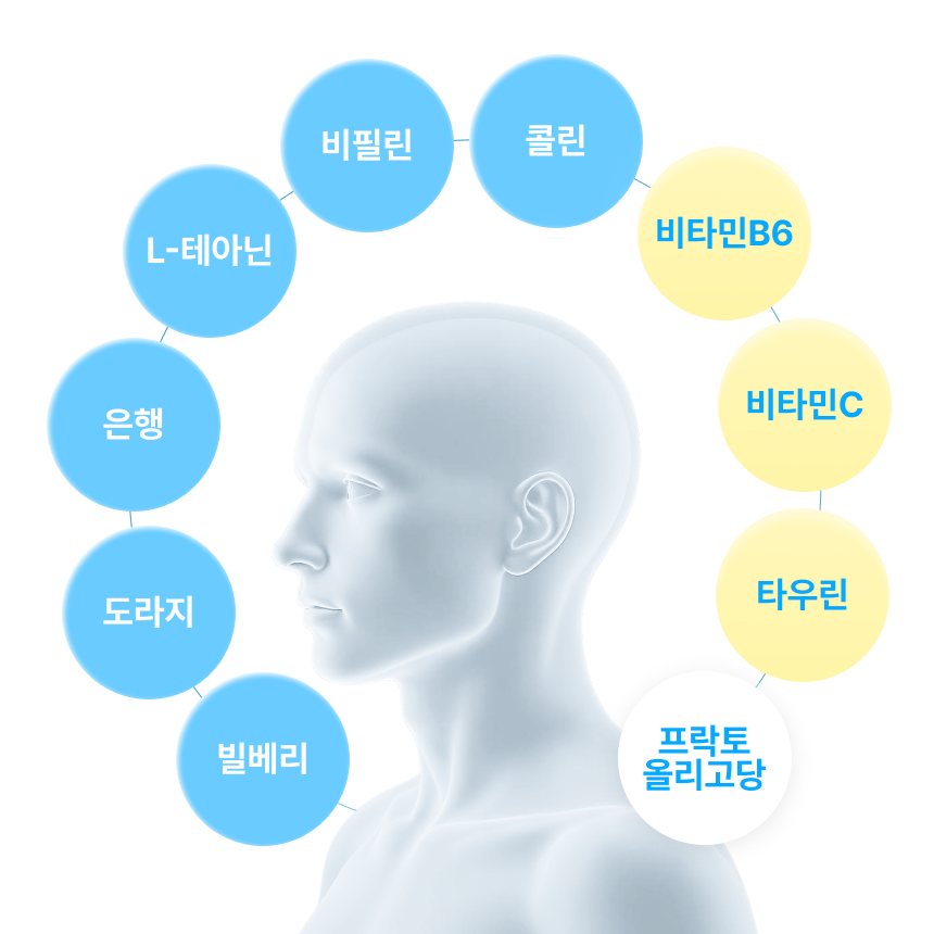 퓨어포커스 12캔 제로카페인 에너지드링크 누트로픽 비타민 음료 이미지 3
