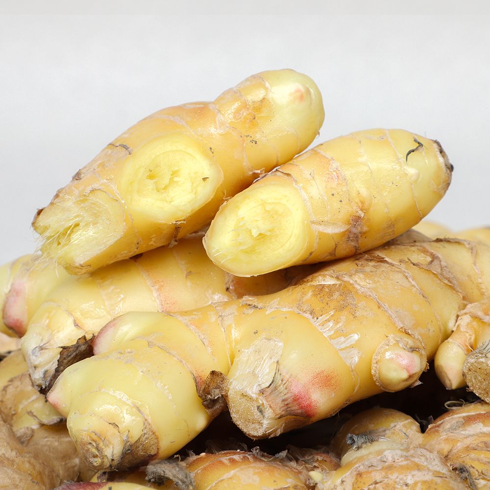 산지직송 경북 햇 세척 생강 특품 3kg, 1개 - 상세 이미지 3
